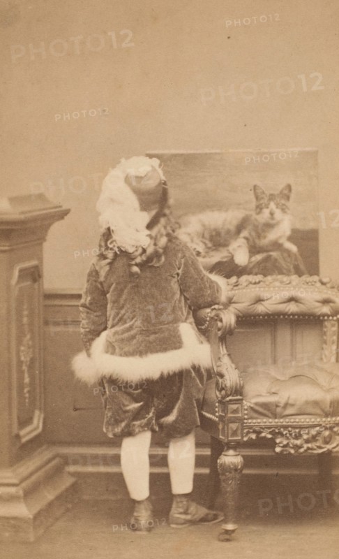 La veste de cygne, 1860s.