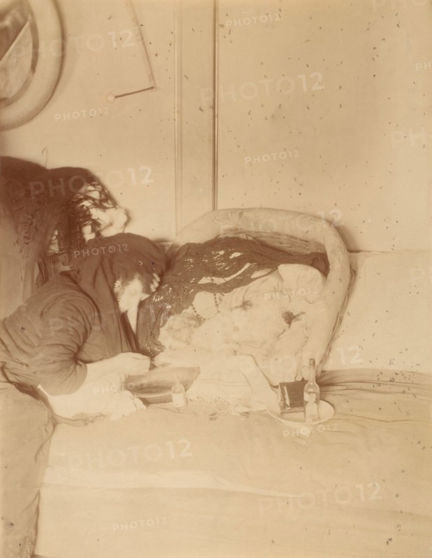 Les Chiens, 1875-80.