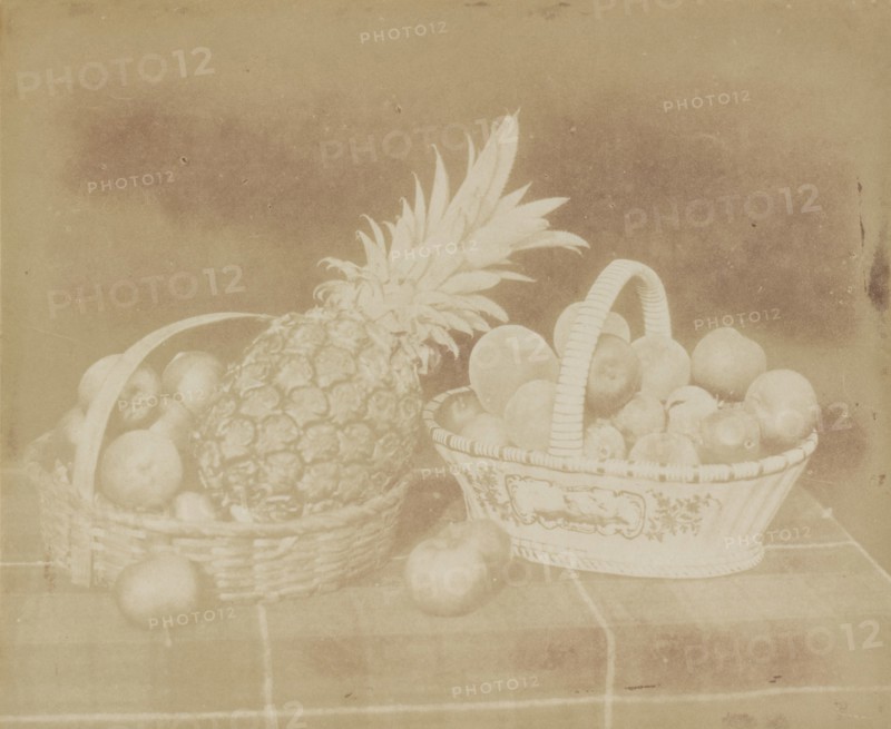 A Fruit Piece, before June 1845.