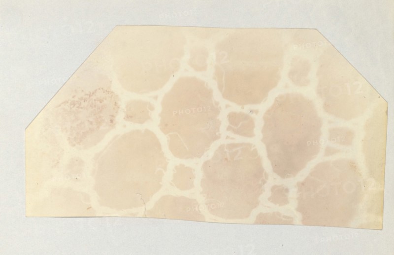 Lace in the Solar Microscope, 400 times magnified in surface, 1839.