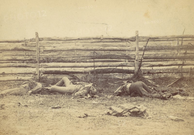 View in the Field, On the West Side of the Hagerstown Road, After the Battle of Antietam, Maryland, September 1862, 1862.