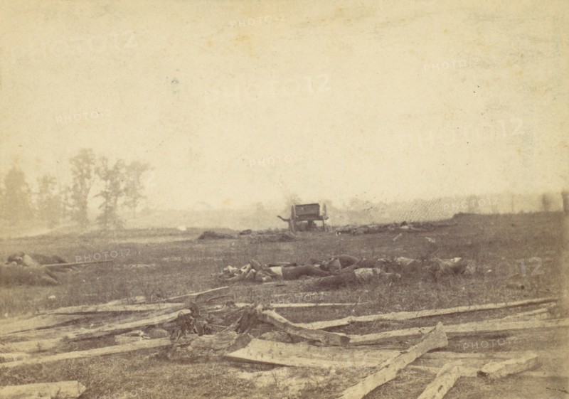 View on the Battlefield of Antietam, September 1862, 1862.