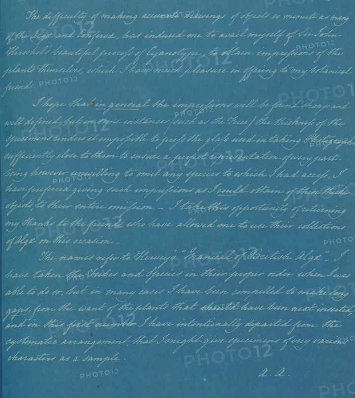 [Dedication Page 2], from Photographs of British Algae: Cyanotype Impressions, ca. 1853.