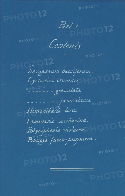 Part I Contents from Photographs of British Algae: Cyanotype Impressions, ca. 1853.