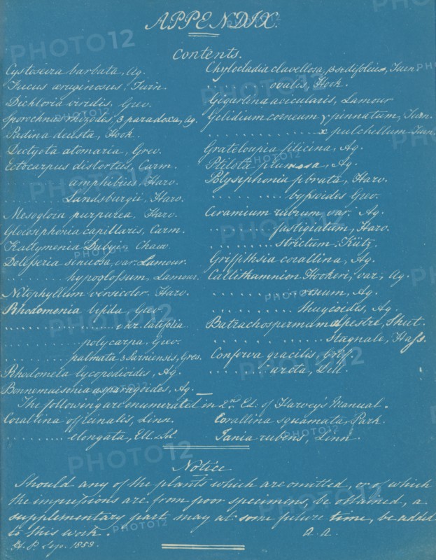 Appendix to Photographs of British Algae: Cyanotype Impressions, ca. 1853.