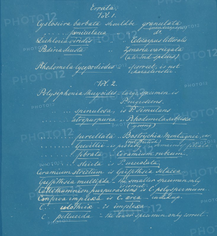 Errata to Photographs of British Algae: Cyanotype Impressions, ca. 1853.