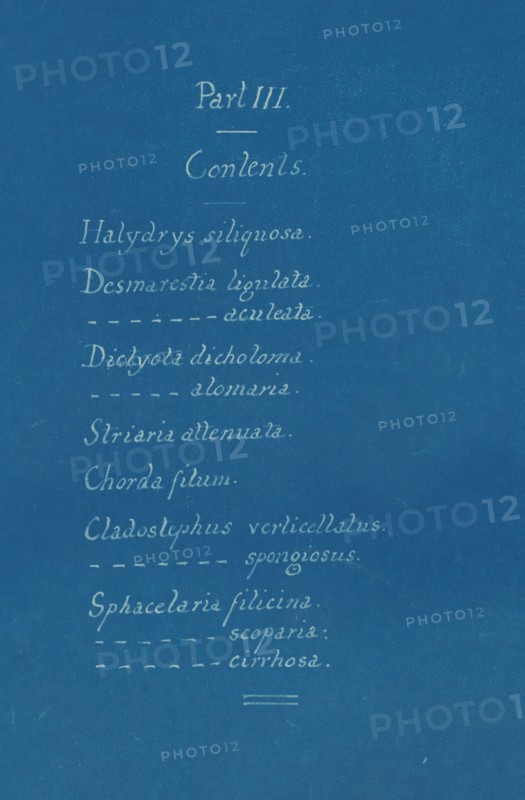 Part III Contents from Photographs of British Algae: Cyanotype Impressions, ca. 1853.