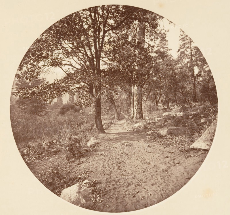 In the Yosemite Valley, ca. 1878.