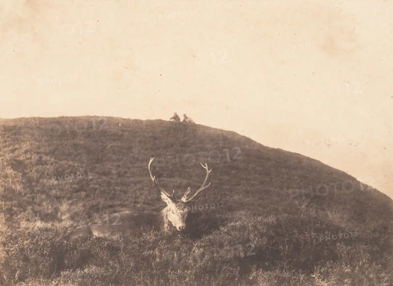 Hunters Stalking a Deer, ca. 1857.