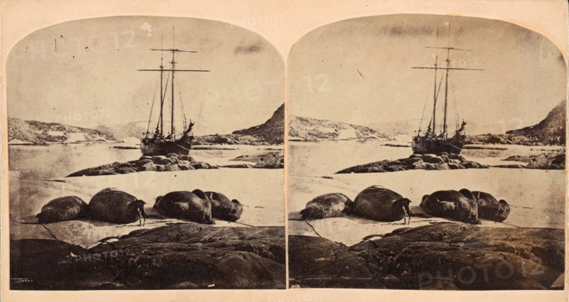 Scène de la mer glacial, ca. 1859.