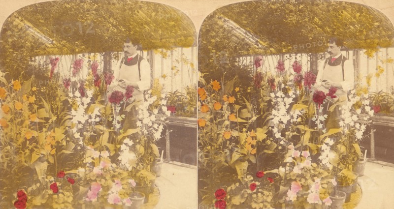 Pair of Stereograph Views of the Royal Botanic Gardens, Kew Gardens, London, England, 1850s-1910s.