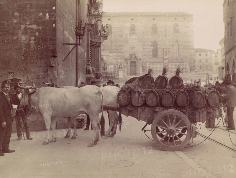 Carro con buoi, Perugia, 1880s.