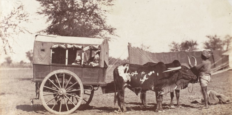 [Campbell Twins in a Shigram, Governor General's Camp], 1858-61.