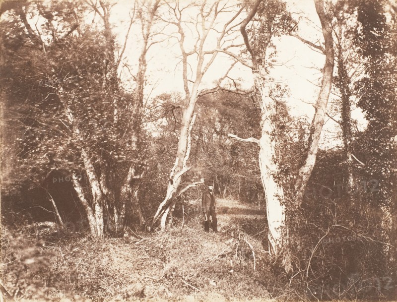 Cureuleo Meadow, 1853-56.