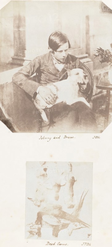 Johnny and Drum; Dead Game, 1853-56.