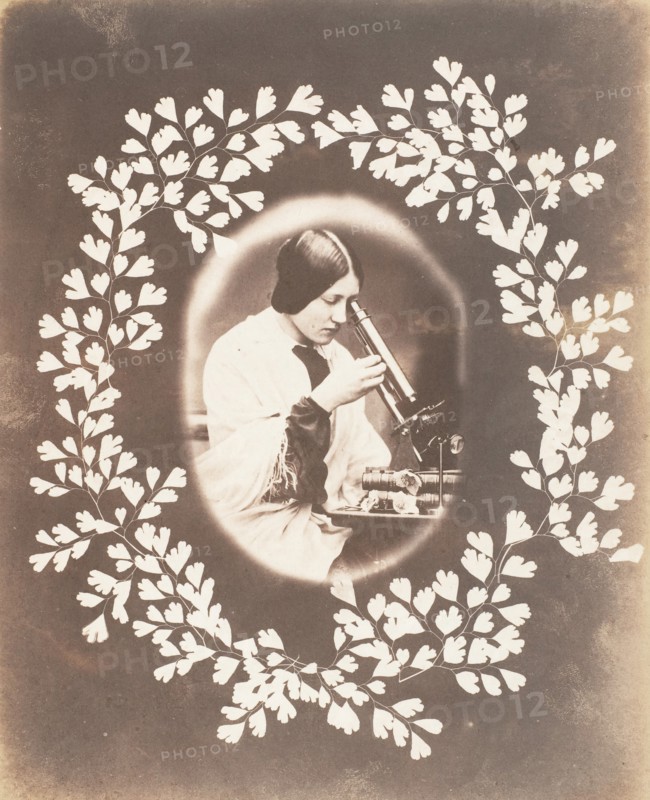 Thereza, 1853-56.