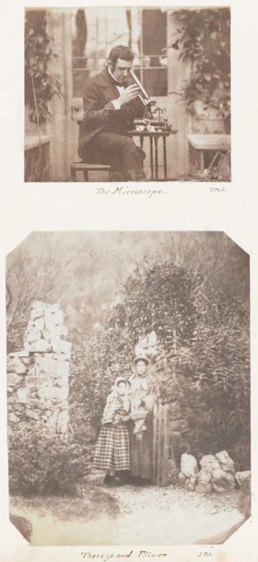 The Microscope; Thereza and Elinor, 1853-56.