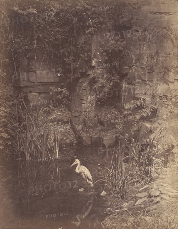 Piscator, No. 2, 1856.