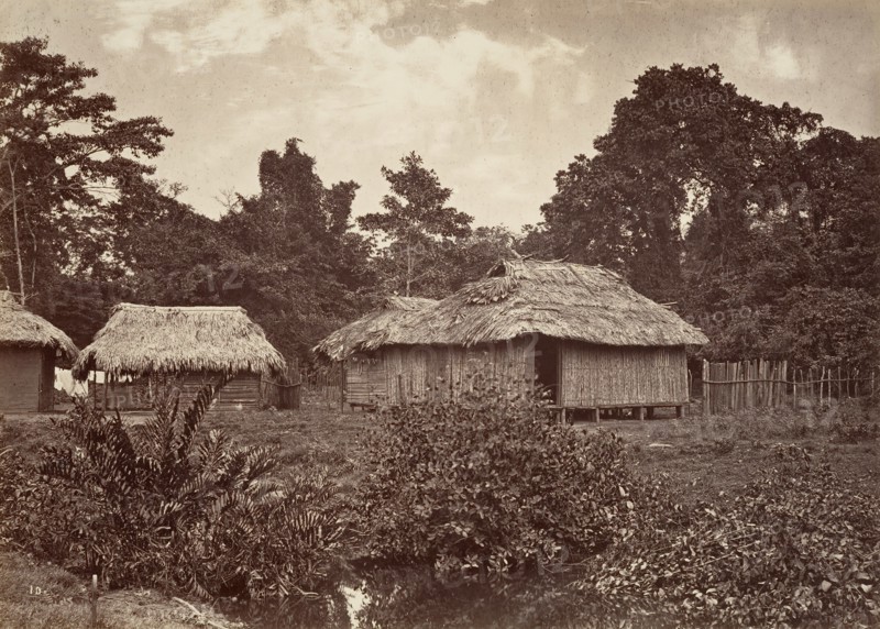 Tropical Scenery, Turbo Village, 1871.