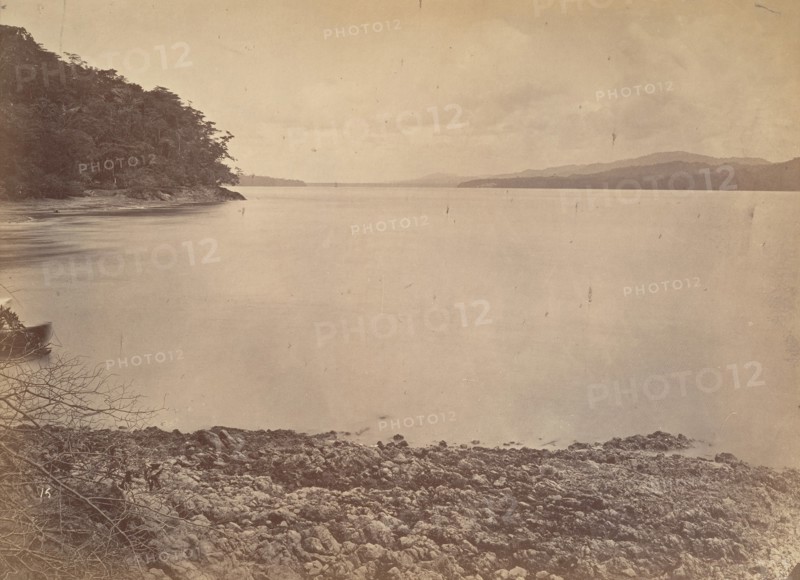 Tropical Scenery, Darien Harbor - Looking South, 1871.