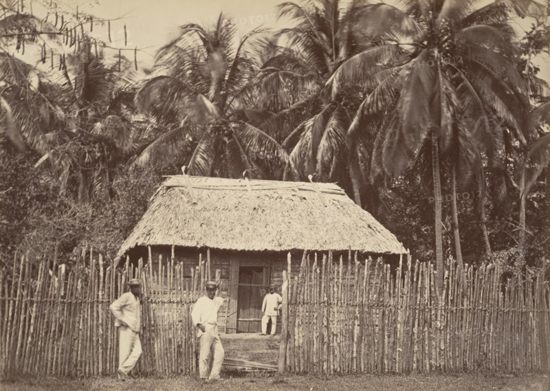 Tropical Scenery, Native Hut, Turbo, 1871.
