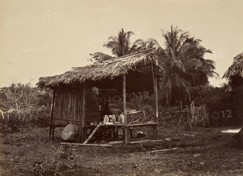 Tropical Scenery, Native Hut, Turbo, 1871.