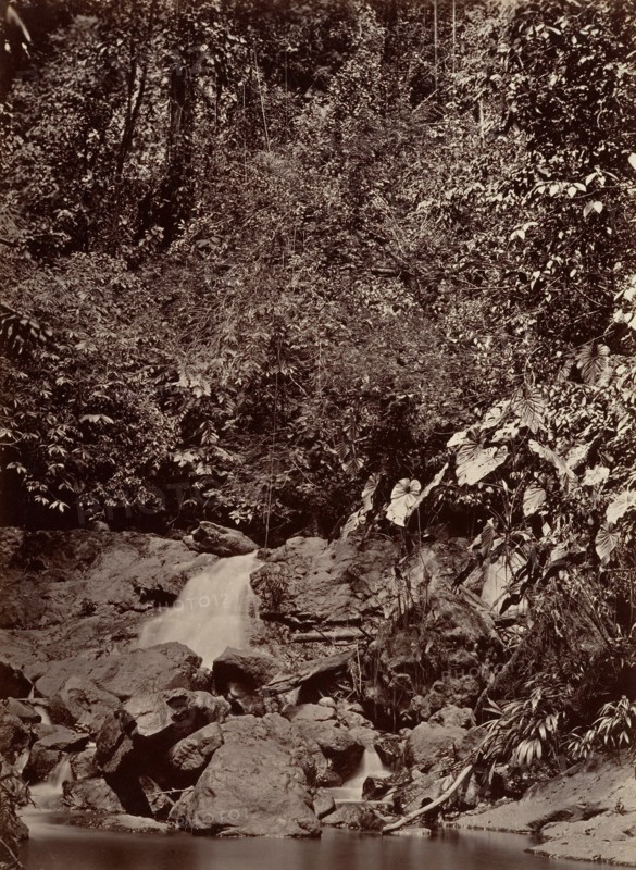 Tropical Scenery, Cascade, Limon River, 1871.