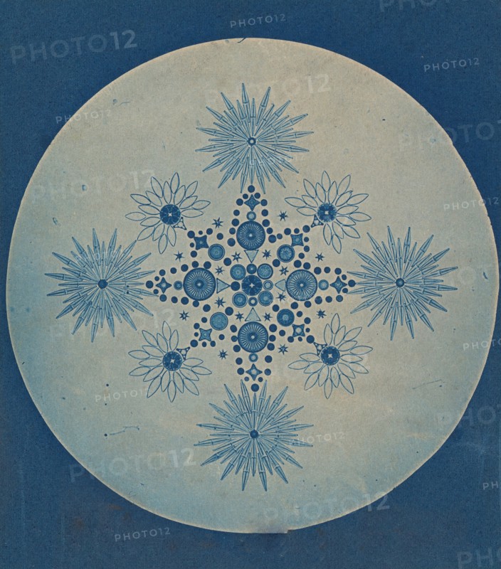 [Frustules of Diatoms], ca. 1870.