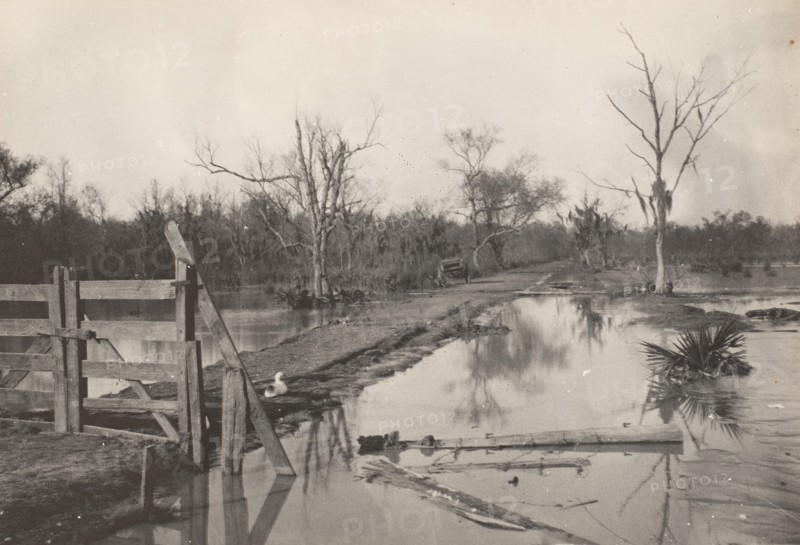 Road Through Flooded Land, 1890s-1900s.