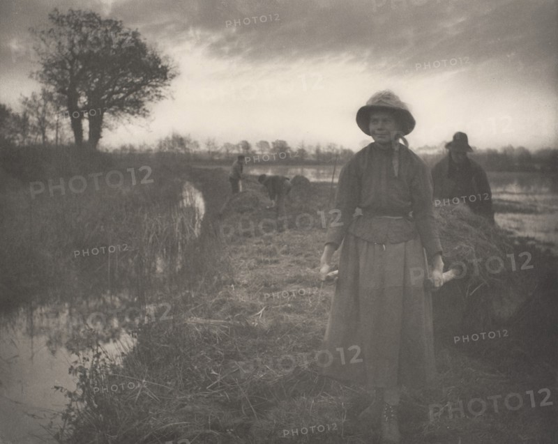 Poling the Marsh Hay, 1886.