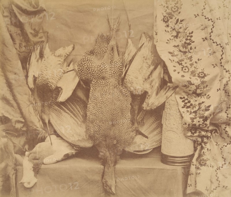 Still Life and Embroidery, 1856.