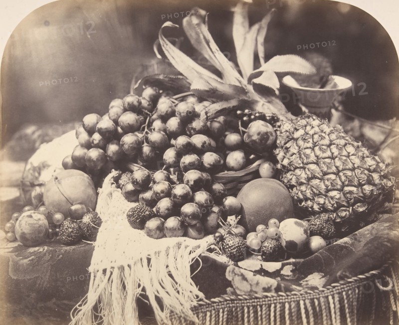 Still Life with Fruit, 1860.