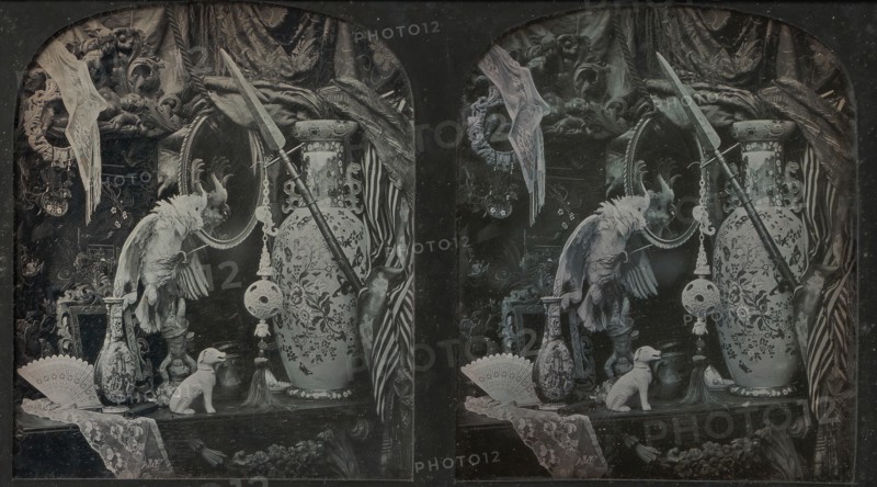 Still-Life with Cockatoo, Mirror, Ornamental Ball, Vases, and Lace, 1850s.