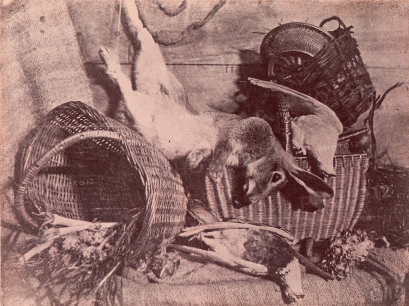 Nature morte au lièvre, 1853.