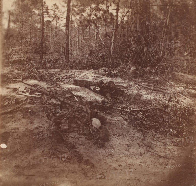 The Wilderness Battlefield, 1864. This is where Generals Robert E. Lee and Ulysses S. Grant had fought to a bloody draw in May 1864. It seems likely that these photographs date from the immediate postwar period, during cleanup operations.