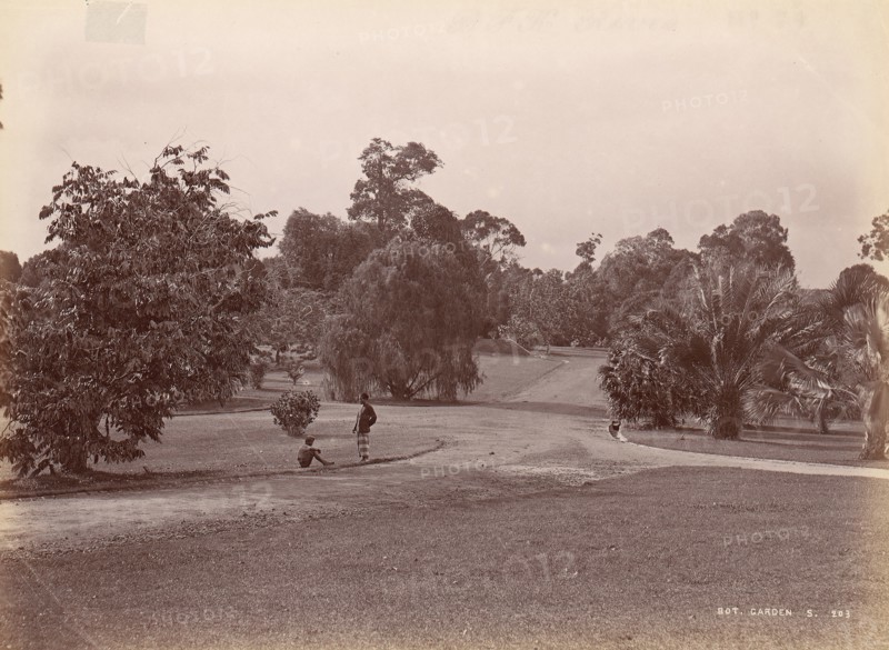 Botanical Garden, 1860s-70s.