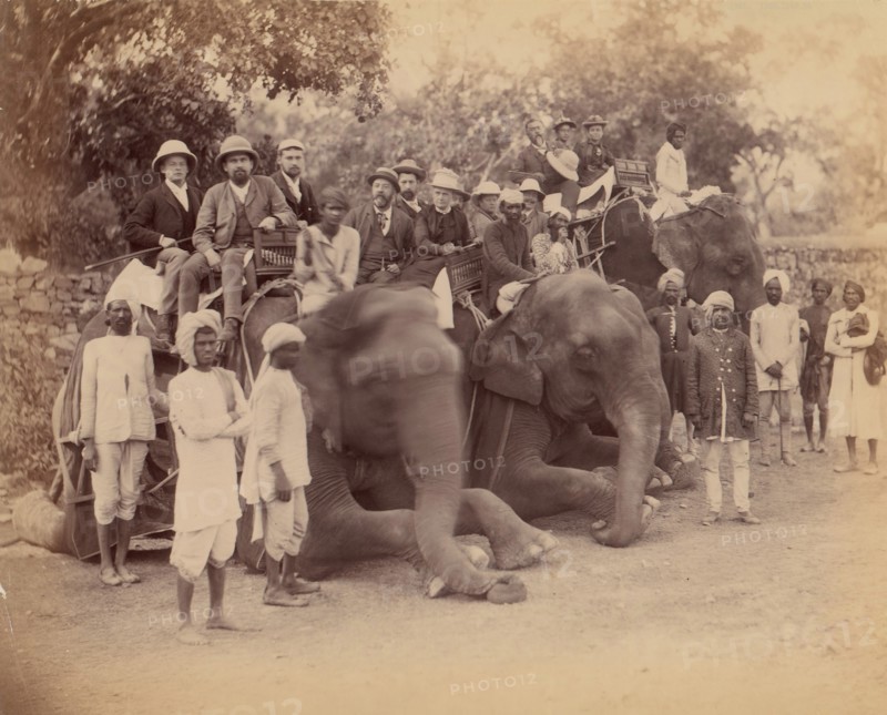 Elephant Group, 1860s-70s.