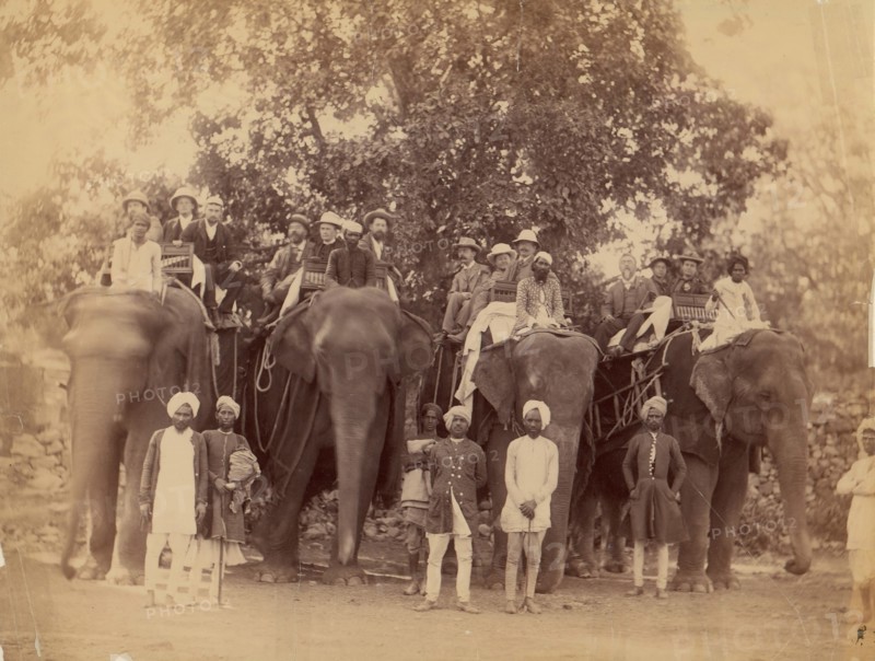 Four Elephants with Western Travellers and Attendants, Jaipur, India, 1860s-70s.