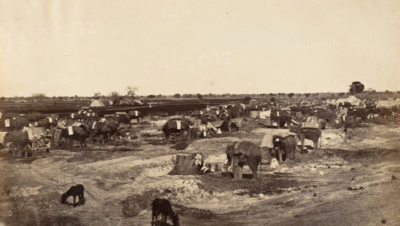 Hatti Kana-The Elephant Camp, 1858-61.