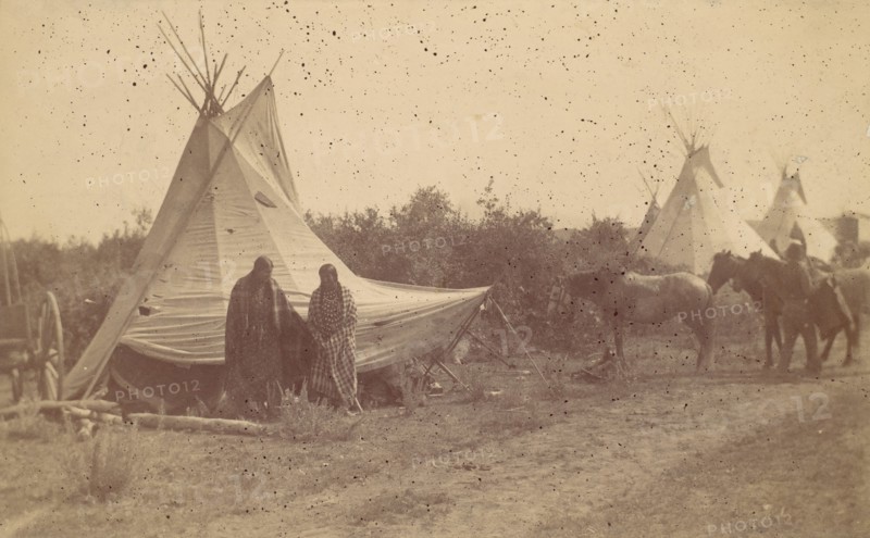 Native American Women and Horses by Teepee in Camp, 1880s-90s.