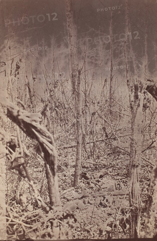 The Wilderness Battlefield, 1865-67.