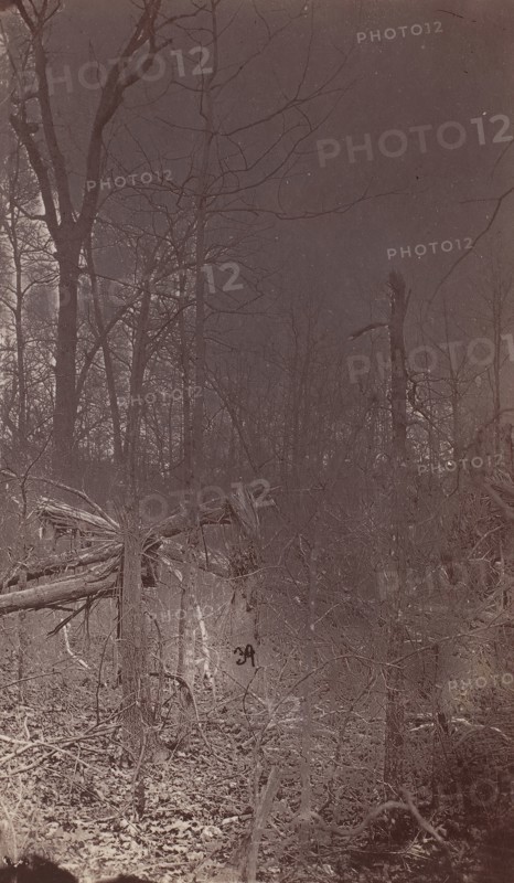 The Wilderness Battlefield, 1864.