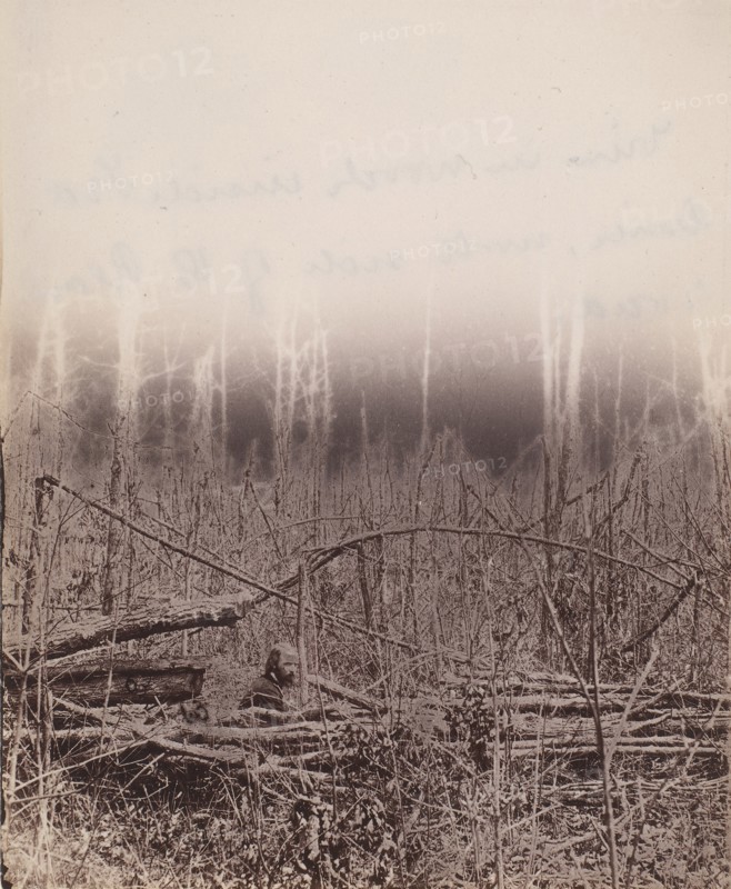 The Wilderness Battlefield, 1864.