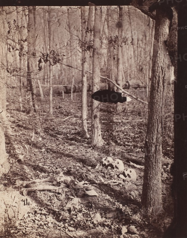 The Wilderness Battlefield, 1864.