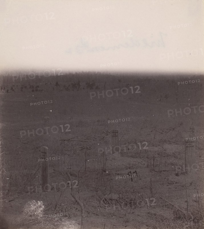 The Wilderness Battlefield, 1864.