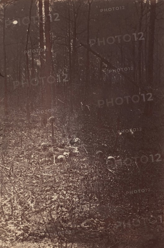 The Wilderness Battlefield, near Spotsylvania, Virginia, 1865 (?).