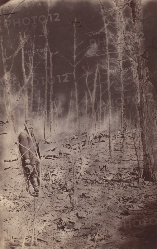 The The Wilderness Battlefield, near Spotsylvania, Virginia, 1865 (?).