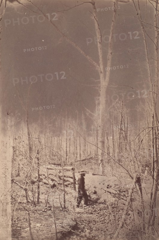 The Wilderness Battlefield, 1864.