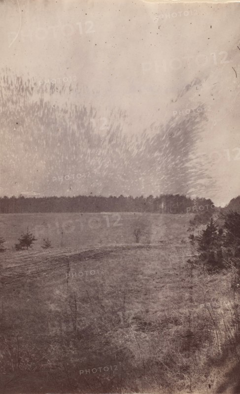 The Wilderness Battlefield, 1864.