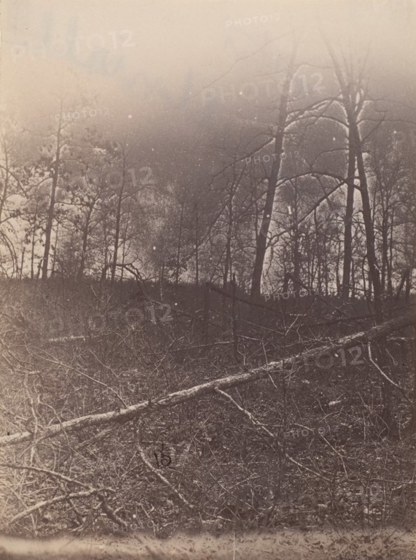 [The Wilderness Battlefield], 1864.